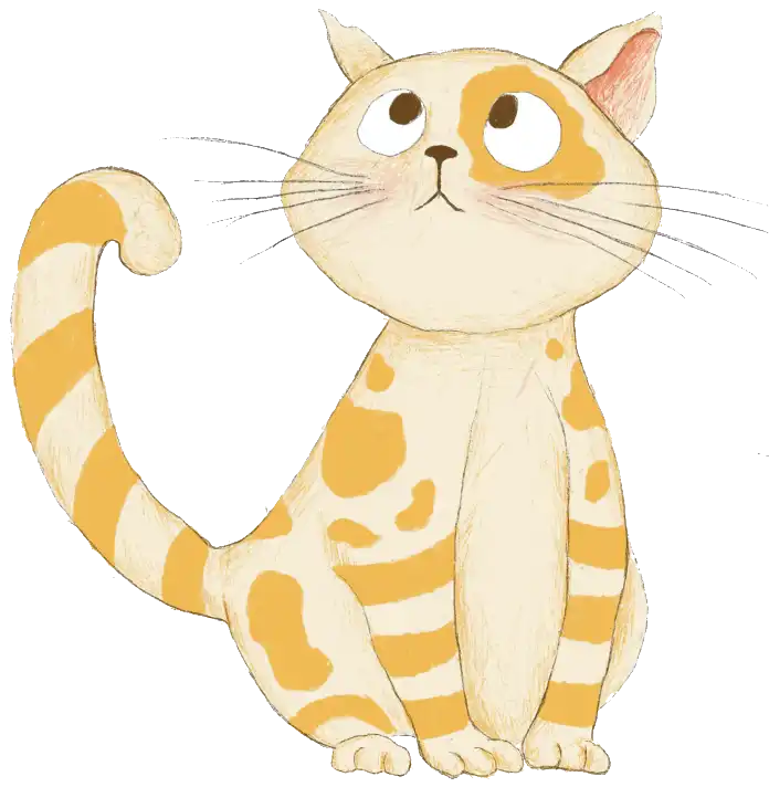Kedi